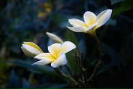 Фотография Лёминой Ирины