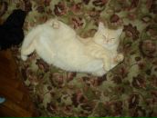 Фотография Ларионовой Ирины