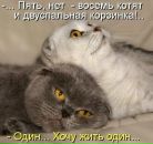 Аліна Плескун фотография #33 (источник - https://vk.com/id160249627)