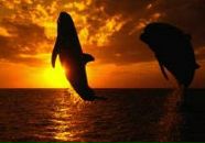 Фотография Шимаковой Екатерины