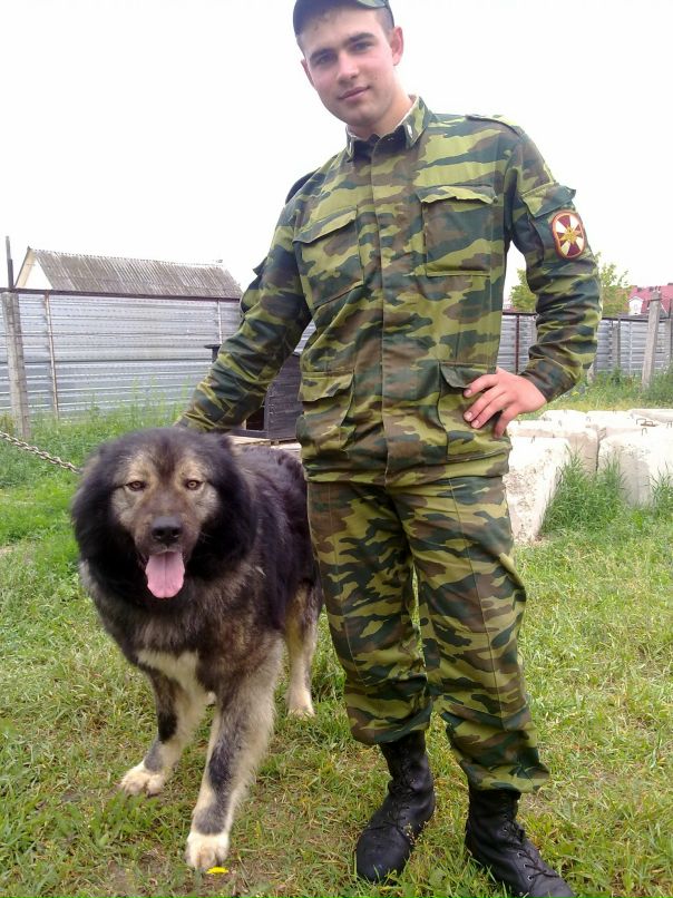 Иван Галкин фотография #45