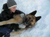 Фотография Стерховой Юлии