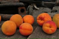 Ганна Бадіна фотография #35 (источник - https://vk.com/id16260340)