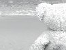 Діана Баланюк фотография #27 (источник - https://vk.com/id134219450)