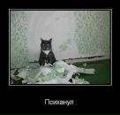 Фотография Альминовой Елизаветы