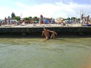 Юрій Степанюк фотография #42 (источник - https://vk.com/id165905666)
