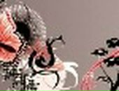 Саша Іскрицька фотография #45 (источник - https://vk.com/id73247965)