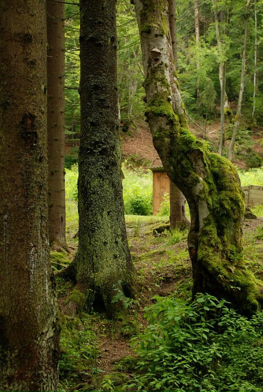 Евгений Радько фотография #45