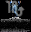Фотография Королькова Станислава