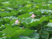 Илья Лычагин фотография #31 (источник - https://vk.com/id225448)