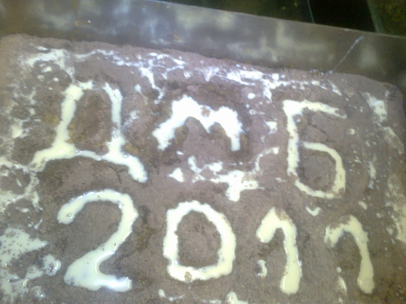 Серега Бугаков фотография #33