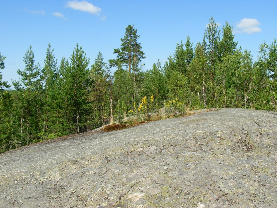 Симас Бумша фотография #24