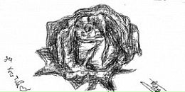 Misha= Little фотография #26 (источник - https://vk.com/id141715577)