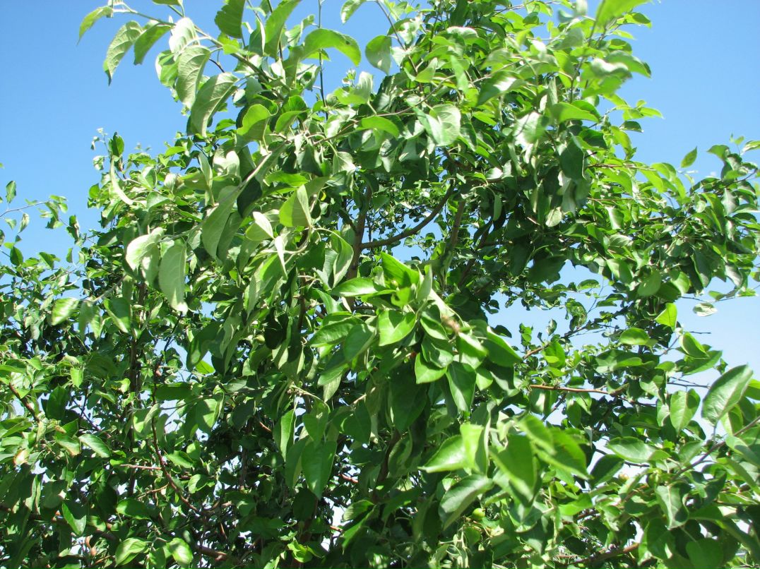 Владислав Арнольд фотография #33