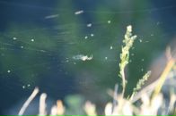 Фотография Баднаевой Алёны