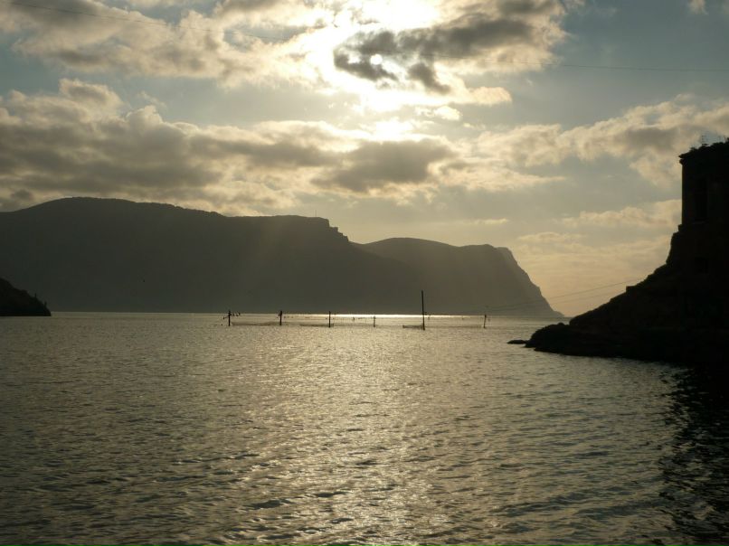 Анатолий Плотников фотография #4