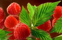 Фотография Викторовой Марины