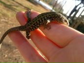 Віталік Майданський фотография #38 (источник - https://vk.com/id24347604)