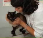 Фотография Гулин Игорь