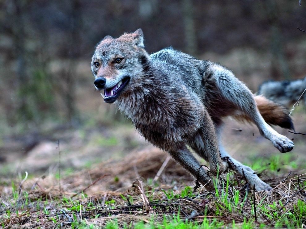 Дмитрий Ермаков фотография #39