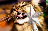 Сима Угарова фотография #36 (источник - https://vk.com/id1824811)