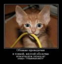 Сергій Мележик фотография #46 (источник - https://vk.com/id6452079)