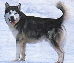 Фотография Бирюковой-Маникюр Настасьи