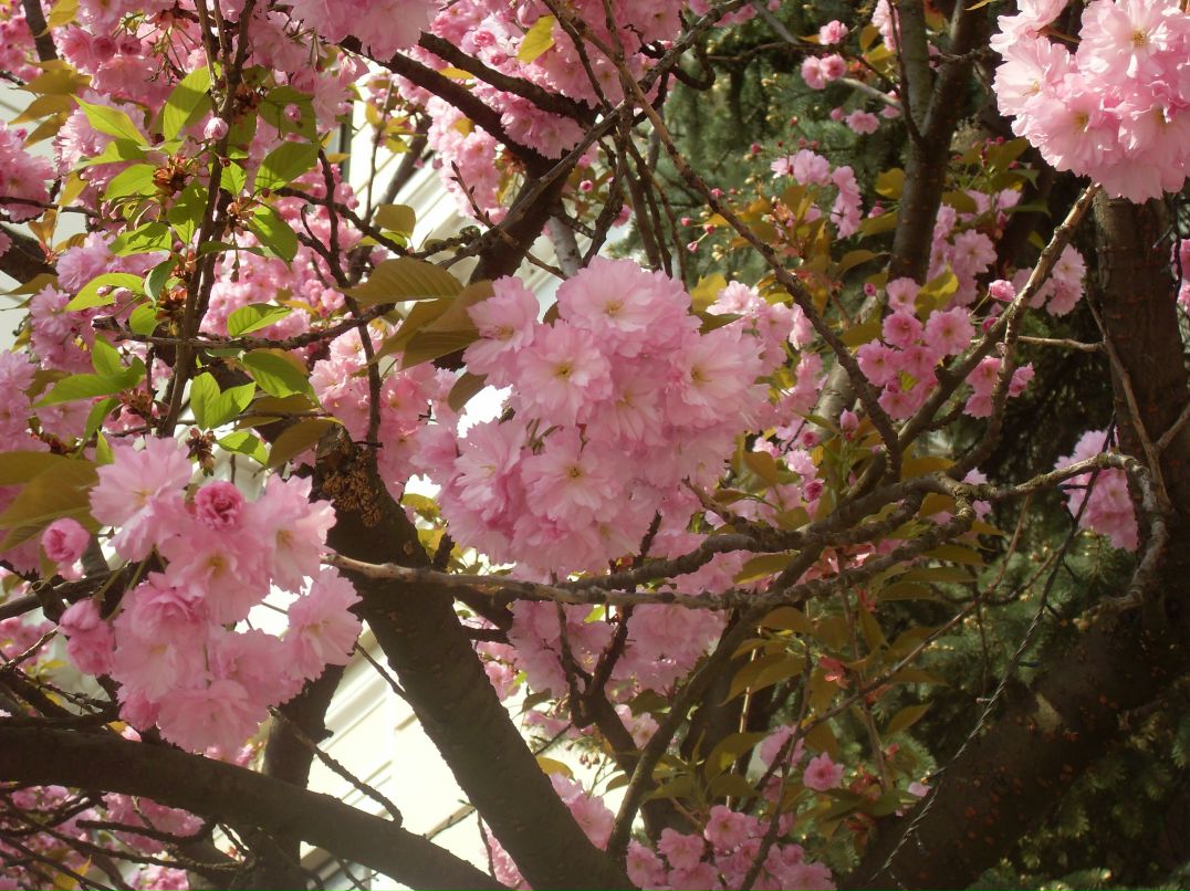 Вадим Тимофеев фотография #44