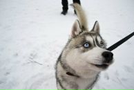 Фотография Тамарчука Вячеслава