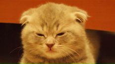 Фотография Харитонова Егора