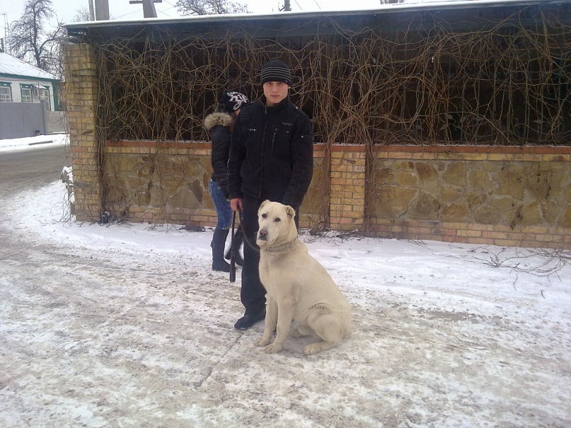 Сергей Олейников фотография #28