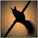 Фотография Жабина Василия