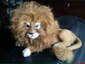 Сергей Левашов фотография #9 (источник - https://vk.com/id55568158)