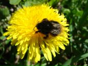 Фотография Мельниковой Елены