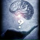 Фотография Лямкин Иван